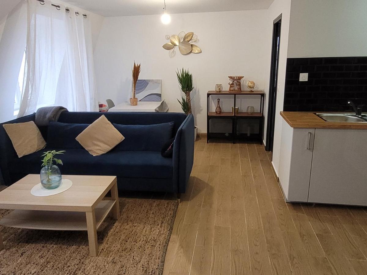 Coquet Appartement A 15Mn De Paris Et 10 Mn De Stade De France, Wifi, Netflix, Groslay Экстерьер фото